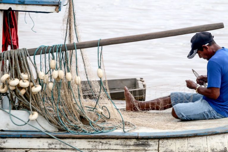 Comissão debate medidas do governo para agricultura familiar, populações tradicionais, pescadores artesanais e assentados – Notícias