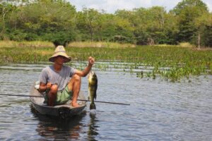 Governo libera R$ 553,2 milhões para pescadores artesanais da região Norte – Notícias