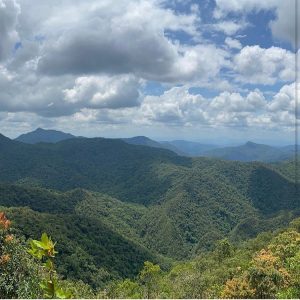 Lei altera limites do Parque Nacional da Serra do Itajaí, em Santa Catarina – Notícias