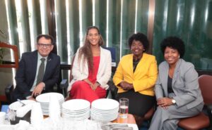 Ministra pede apoio a deputados para políticas de igualdade racial – Notícias