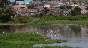 Comissão debate os 10 anos da encíclica “Laudato Si” sobre meio ambiente – Notícias