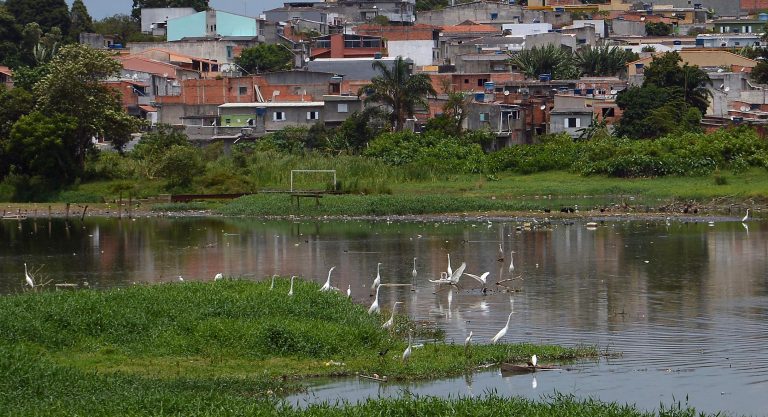 Comissão debate os 10 anos da encíclica “Laudato Si” sobre meio ambiente – Notícias