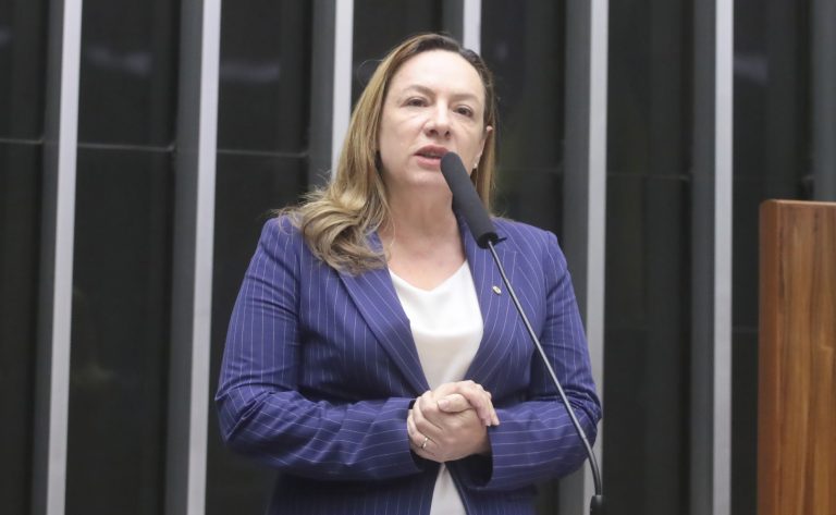 Comissão aprova valorização do trabalho das artesãs brasileiras – Notícias