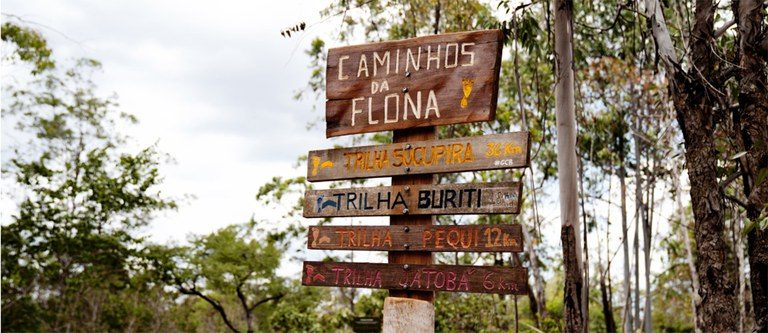 Comissão debate concessão de serviços em unidades de conservação em Brasília – Notícias