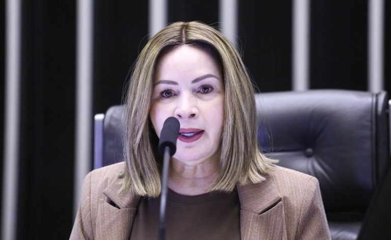 Comissão debate impactos e riscos de mudanças no licenciamento ambiental – Notícias