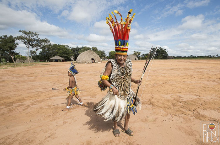 Um estudo bibliométrico da UNIOESTE revela que a produção científica sobre a importância do saber indígena para a crise climática cresceu, mas sua integração no ensino superior permanece mínima, criando um paradoxo que limita a formação de profissionais e a busca por soluções eficazes.