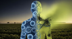 Revisão de estudos científicos aponta a correlação entre a exposição ao agrotóxico glifosato e o desenvolvimento de linfoma não Hodgkin, um tipo de câncer. O herbicida é o mais utilizado no Brasil, gerando debate sobre regulação e saúde pública.