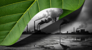 ESG-washing, uma fraude que usa o apelo da sustentabilidade para maquiar velhas práticas destrutivas e manipular o consumidor.