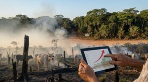 monitoramento climático cidades MT