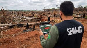 Imagem ilustrativa de uma área desmatada em Mato Grosso