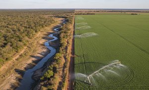 expansão da soja em Mato Grosso