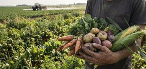 Agroecologia e campesinato