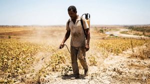 agrotóxicos e saúde no semiárido