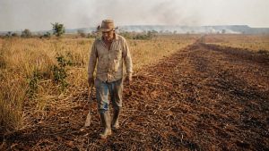 pagamento por prevenção a incêndios em Mato Grosso
