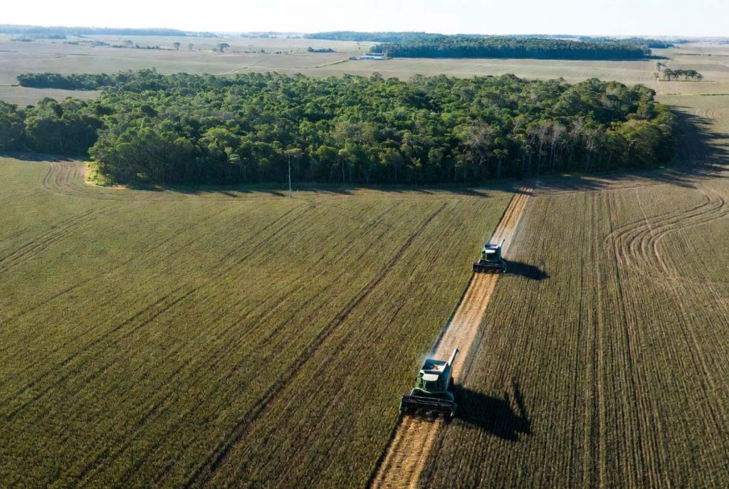 Regulação Europeia contra o Desmatamento e Dia do Agro