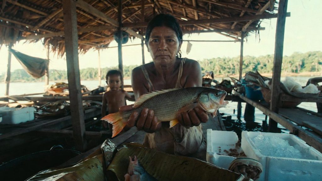 mercúrio em peixes Amazônia
