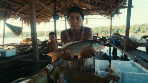 mercúrio em peixes Amazônia