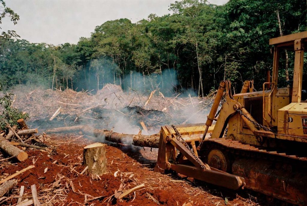 desmatamento em Mato Grosso