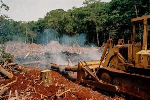 desmatamento em Mato Grosso