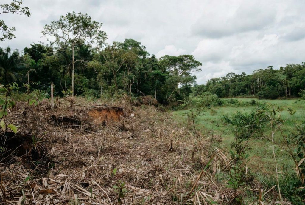 responsabilidade ambiental em Mato Grosso