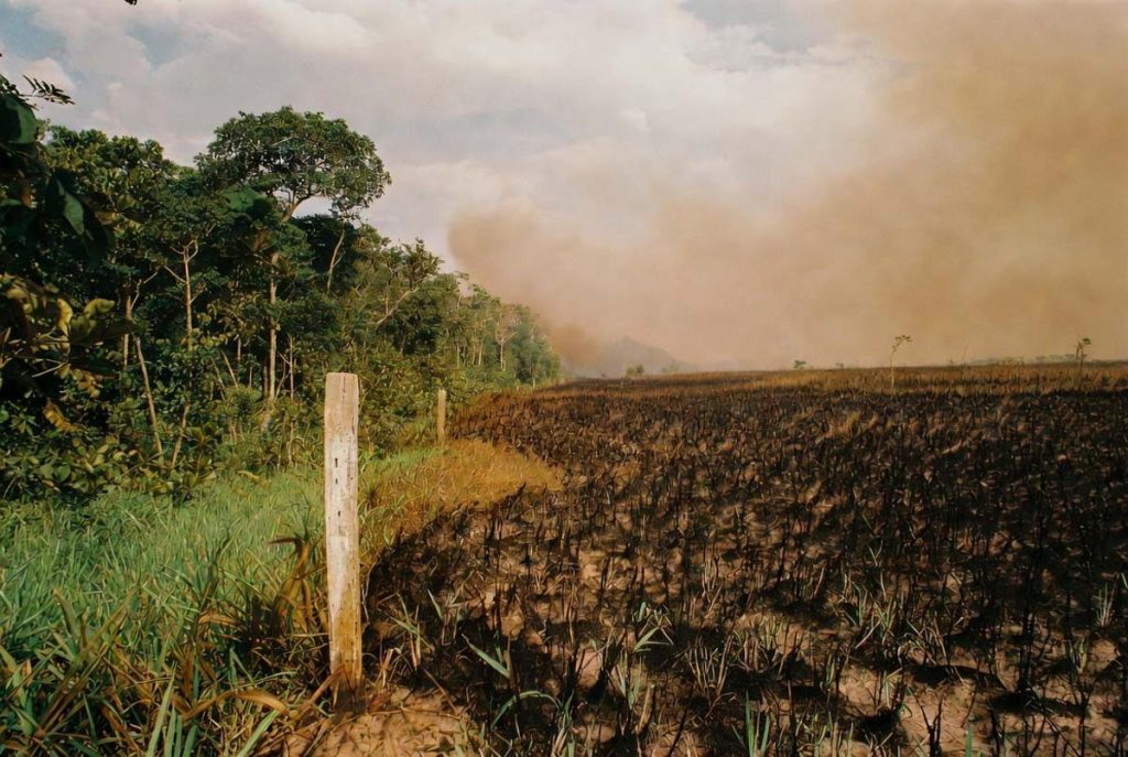 mudança climática