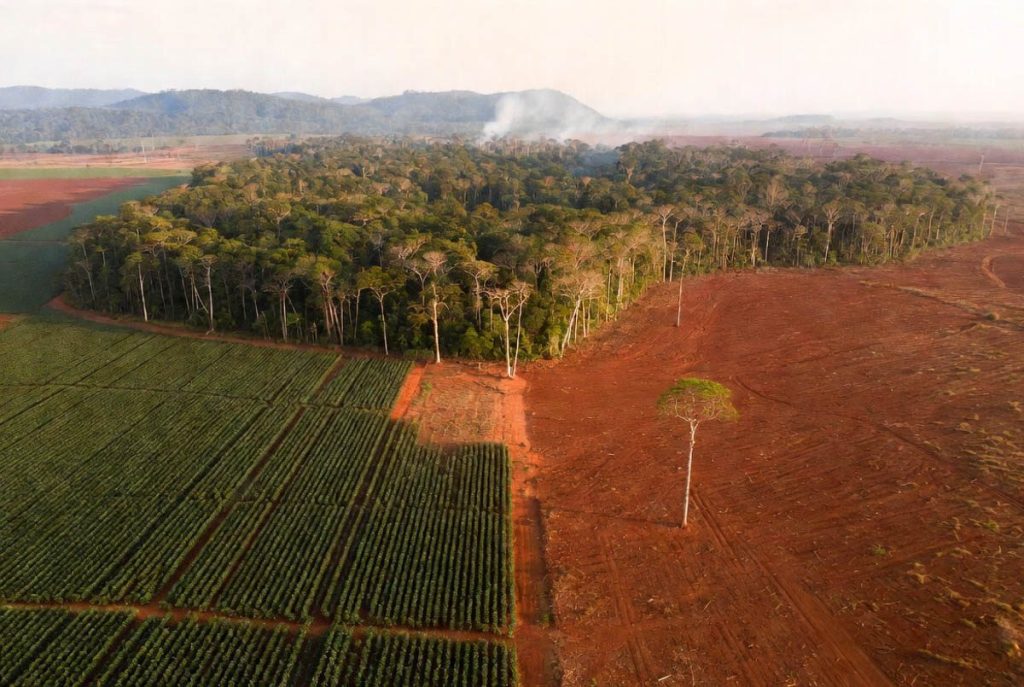 Moratória da Soja